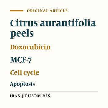 Combination of Ethanolic Extract of Citrus aurantifolia Peels with Doxorubicin Modulate Cell Cycle and Increase Apoptosis Induction on MCF-7 Cells