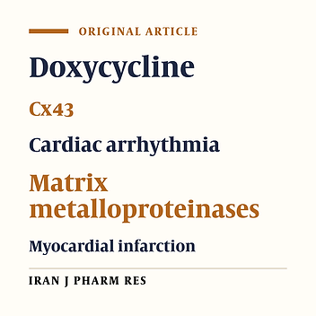 Effects of Doxycycline on Cx43 Distribution and Cardiac Arrhythmia Susceptibility of Rats after Myocardial Infarction