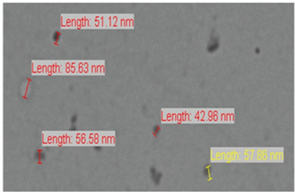 TEM image of optimized nanoemulsion A1