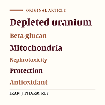 Mitochondrial Toxicity of Depleted Uranium: Protection by Beta-Glucan