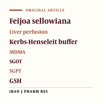 Study of the Hepatoprotective Activity of Methanolic Extract of Feijoa sellowiana Fruits Against MDMA using the Isolated Rat Liver Perfusion System