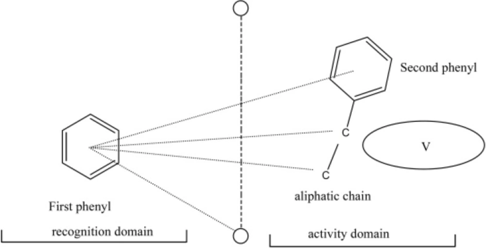 Main parameters of the biophore model. V is excluded volume (11).