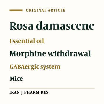 Suppressive Effects of Rosa Damascena Essential Oil on Naloxone- Precipitated Morphine Withdrawal Signs in Male Mice