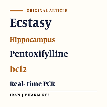 The Effect of Pentoxifylline on bcl-2 Gene Expression Changes in Hippocampus after Long-term use of Ecstasy in Wistar Rats