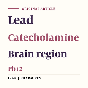 Catecholamine Contents of Different Region of Adult Rat Brain Are Altered Following Short and Long-term Exposures to Pb+2