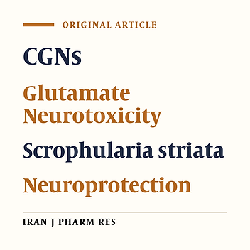 Neuroprotective Effect of Total and Sequential Extract of Scrophularia striata Boiss. in Rat Cerebellar Granule Neurons Following Glutamate- Induced Neurotoxicity: An In-vitro Study