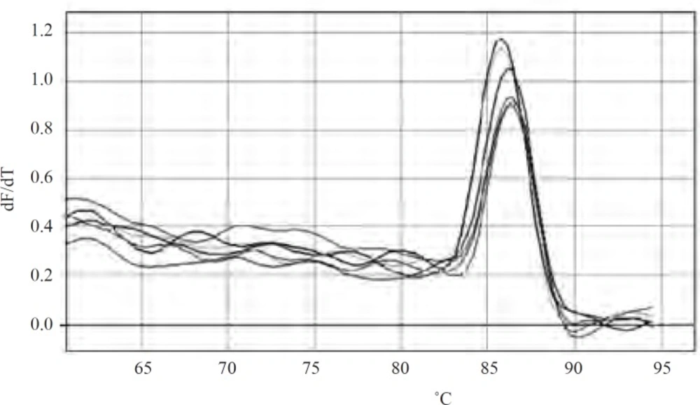 Melting curves of <i>marA</i> in wild type and mutants. The yellow color curve belongs to wild type and other colored curves belong to mutants