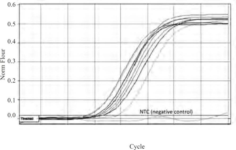 Amplification curves of <i>marA</i> in wild type and mutants. The pale blue curve belongs to wild type and other colored curves belong to mutants