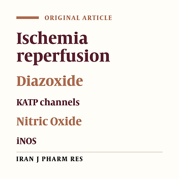 Nitric Oxide is Necessary for Diazoxide Protection Against Ischemic Injury in Skeletal Muscle