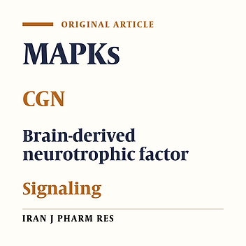 The Time Course of JNK and P38 Activation in Cerebellar Granule Neurons Following Glucose Deprivation and BDNF Treatment