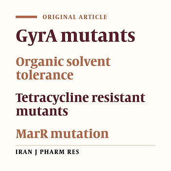Study of Organic Solvent Tolerance and Increased Antibiotic Resistance Properties in E. coli gyrA Mutants
