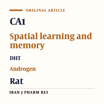Microinjection of Dihydrotestosterone as a 5α-Reduced Metabolite of Testosterone into CA1 Region of Hippocampus Could Improve Spatial Learning in the Adult Male Rats