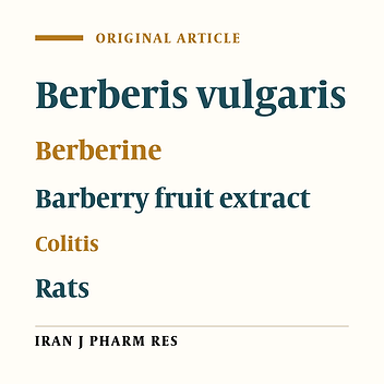 Comparative Study of Berberis vulgaris Fruit Extract and Berberine Chloride Effects on Acetic Acid-Induced Colitis in Rats