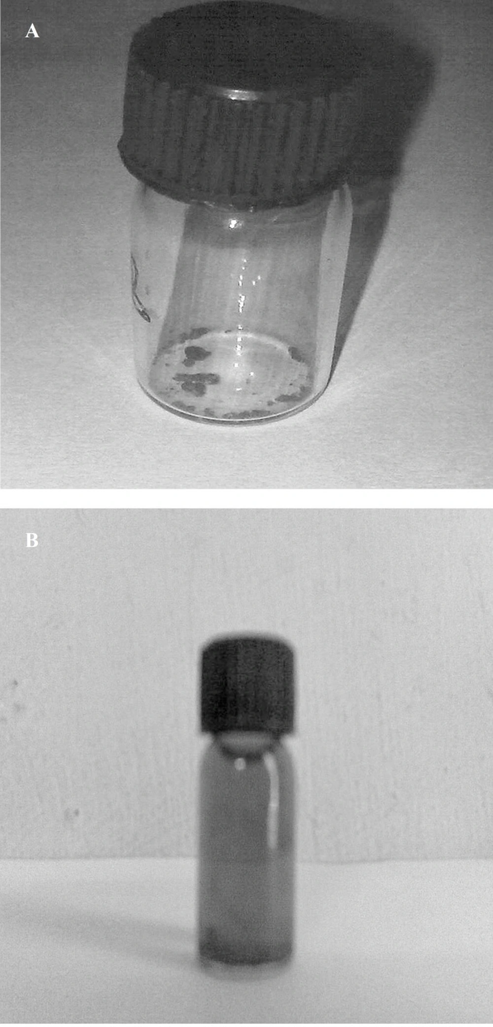 (a) Colloidal nanogold solution; (b) Iron oxide nanoparticles