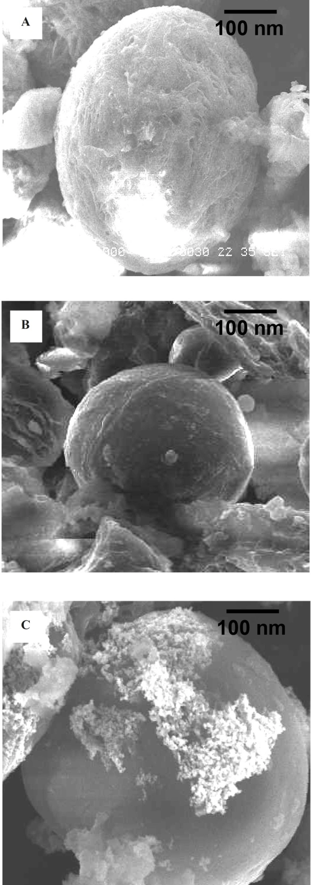 (a) SEM of EC/Cis; (b) SEM of EC/Cis-Au; (c) SEM of EC/Cis-Fe<sub>3</sub>O<sub>4</sub>