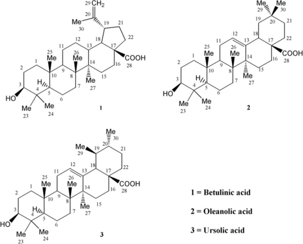 Pentacyclic triterpenes from <i>Euphorbia microsciadia </i>(<a href="#B1">1</a>-<a href="#B3">3</a>).