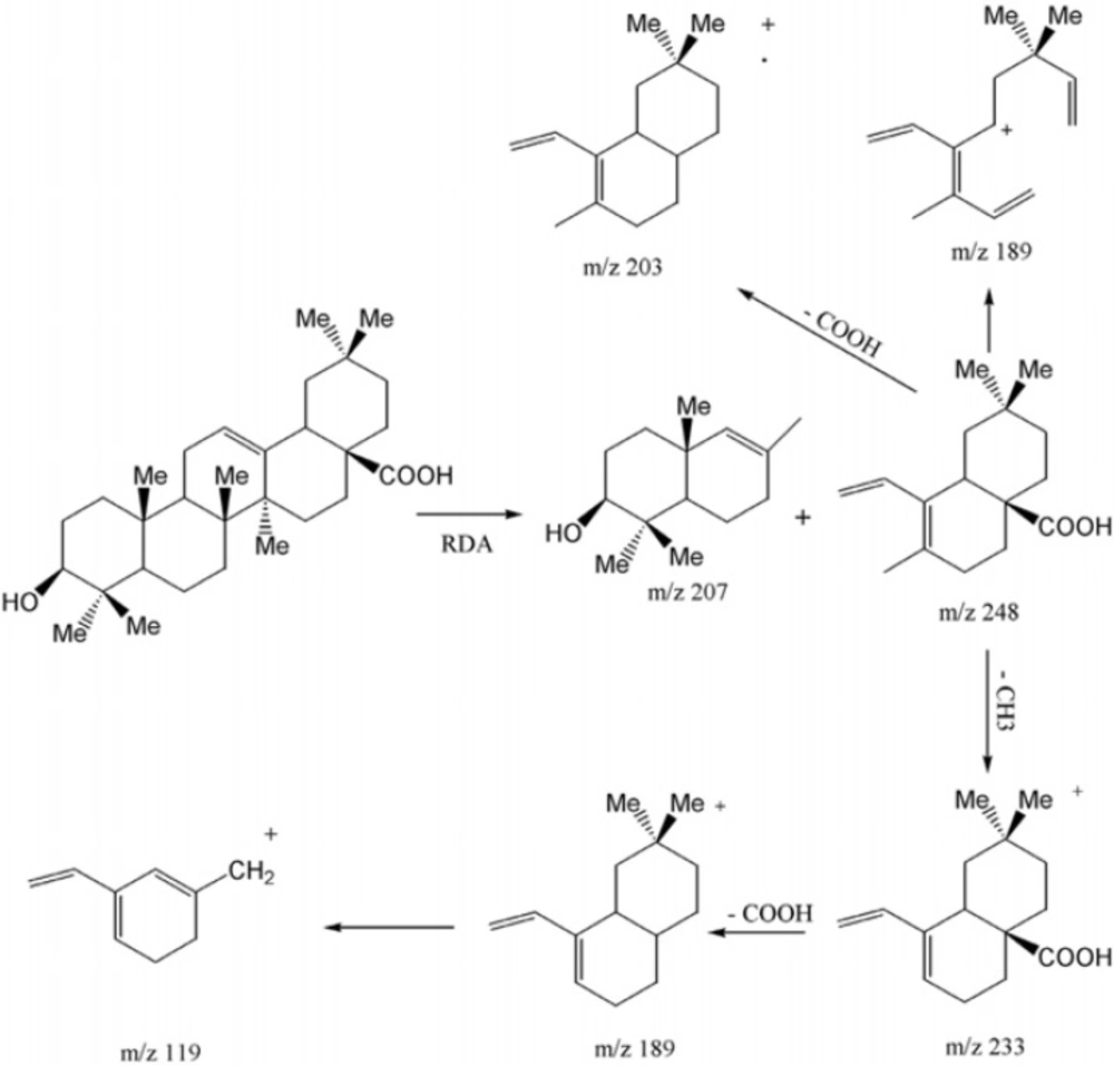 EI-Mass fragmentation pattern of oleanolic acid