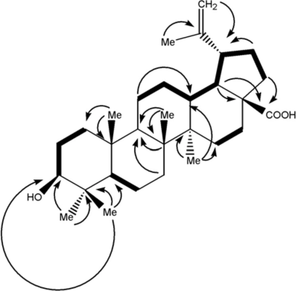 DQF-COSY(in blod) and key (2,3) J(H→C) HMBC cross-peaks in betulinic acid