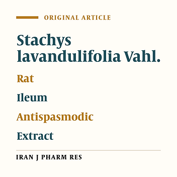 Spasmolytic Effect of Stachys Lavandulifolia Vahl. Crude Methanolic Extract and Fractions on Rat Ileum