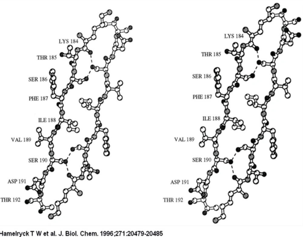 A stereo figure of the dimer-dimer interface in the SBA tetramer