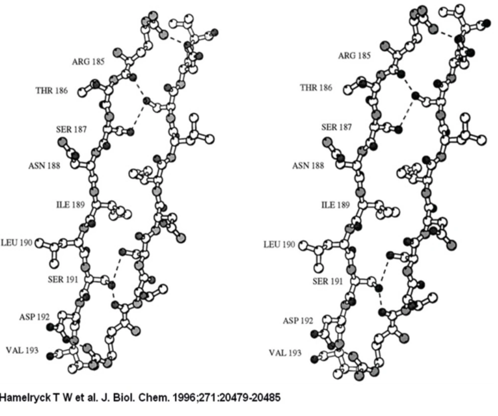 A stereo figure of the dimer-dimer interface in the SBA tetramer
