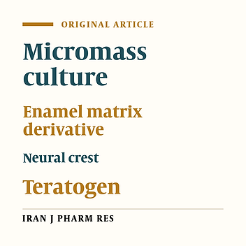 Evaluation of Enamel Matrix Derivative (EMD) Teratogenicity on the Rat Embryo Neural Crest Culture