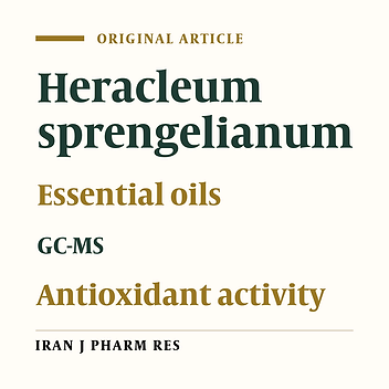 Chemical Composition and Antioxidant Activity of Heracleum sprengelianum (Wight and Arnott) Essential Oils Growing Wild in Peninsular India