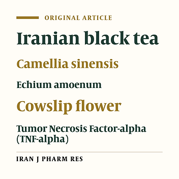 Iranian Black Tea and Cowslip Extracts Induce Tumor Necrosis Factor-Alpha Secretion from Mouse Macrophage Cell Culture