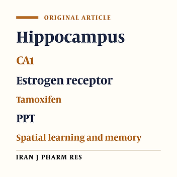 The Role of Estrogen Receptors on Spatial Learning and Memory in CA1 Region of Adult Male Rat Hippocampus