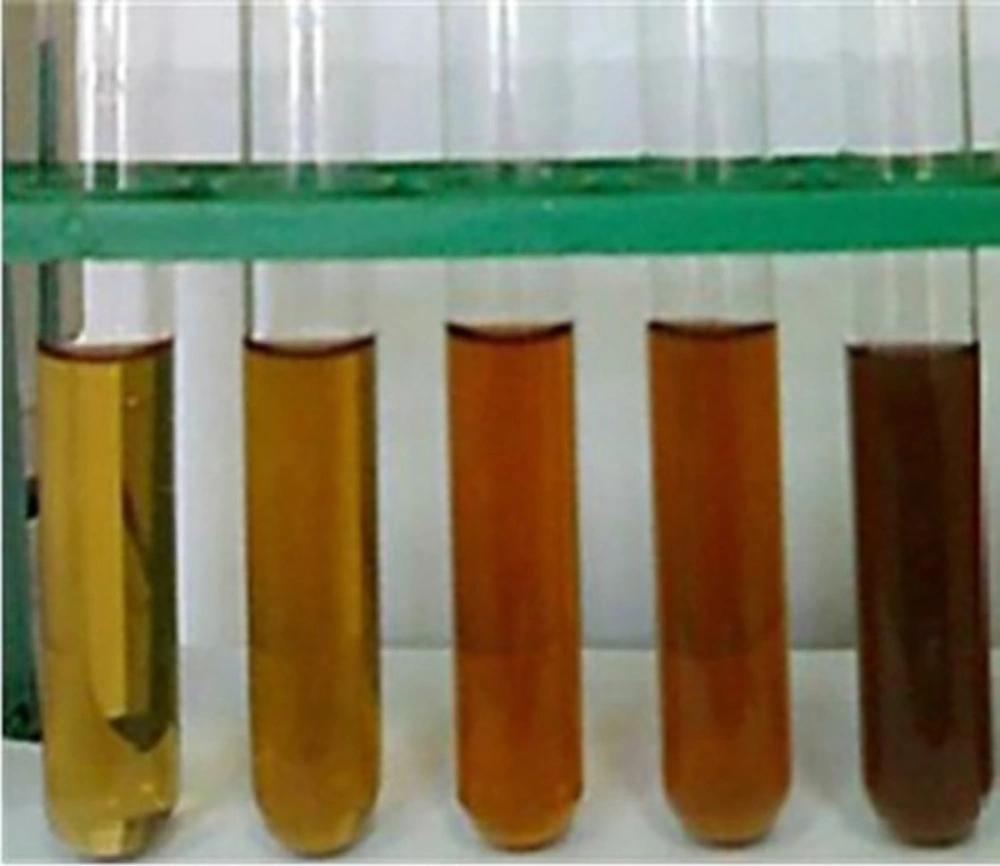 Photograph of the reduction of Ag+ to Ag in the presence of fruit extract of <i>P. farcta </i>during 12 h