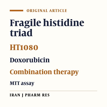 N-Terminal Domain of Fragile Histidine Triad Exerts Potent Cytotoxic Effect in HT1080 Cells and Increases Doxorubicin Cytotoxicity