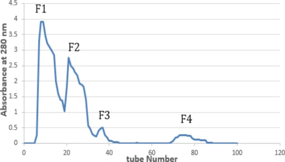 Gel filtration chromatogram of <i>Turbo coronatus</i> crude extract on G-50 (2.5×150 cm)