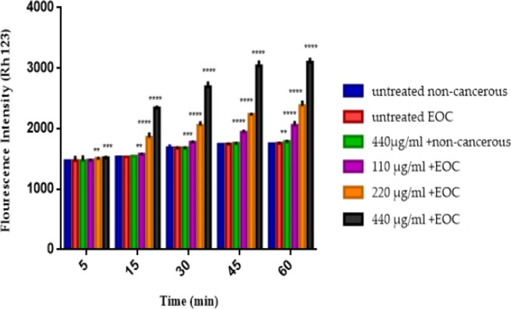The MMP assay. The effect of various concentrations of F1 fraction (110, 220 and 440 µg/mL) of <i>T. coronatus </i>extract on decline of the MMP on the mitochondria obtained from non-cancerous and EOC tissues. Data are shown as mean ± SD (n = 5). **, *** And **** shows a significant difference in comparison with the untreated non-cancerous mitochondria (<i>P </i>< 0.01, <i>P </i>< 0.001 and <i>P </i>< 0.0001), respectively