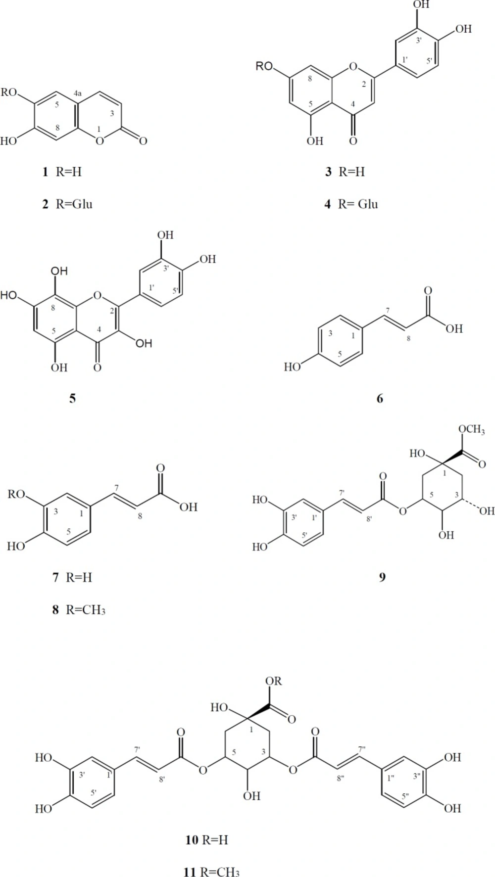 Structures of compounds <b>1-11</b> isolated from <i>Taraxacum bessarabicum </i>subsp. <i>bessarabicum</i>