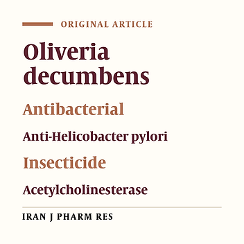 Oliveria decumbens, a Bioactive Essential Oil: Chemical Composition and Biological Activities