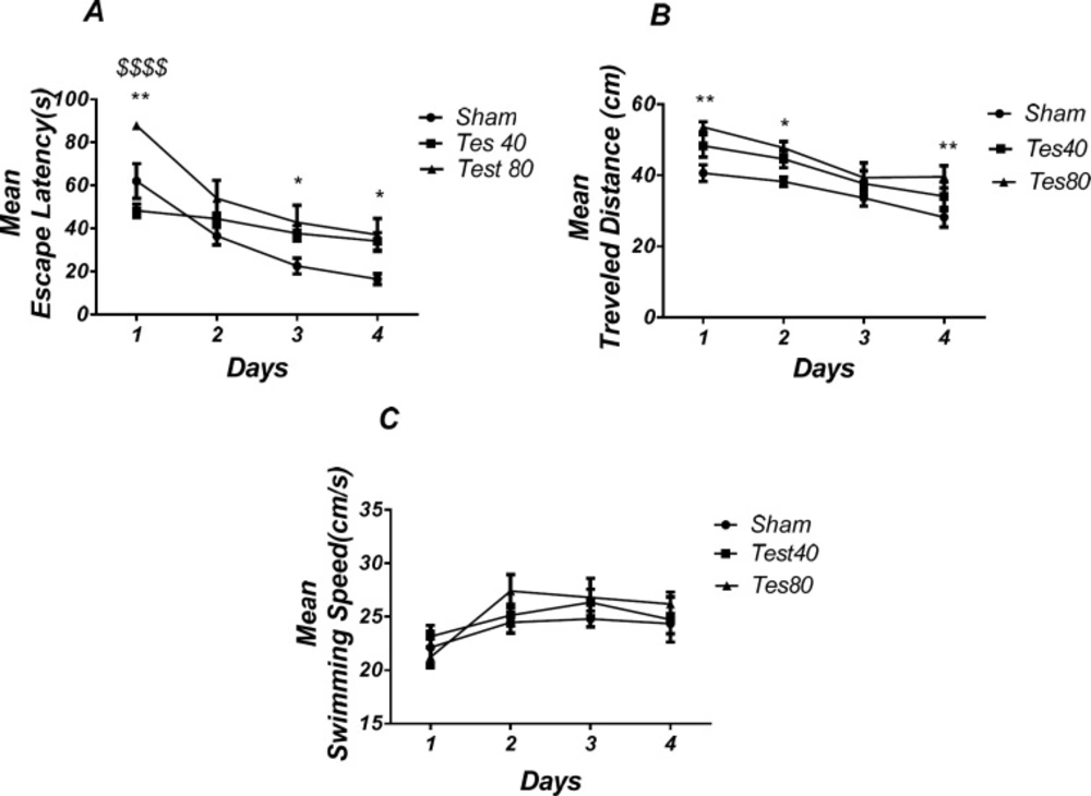 Effect of testosterone on spatial learning and memory<b>.</b> There was a significant increase in escape latency in1st (** <i>P</i> < 0.01), 3rd and 4th (* <i>P</i> < 0.05) days in testosterone treated animals compared to the sham operated group. Testosterone 80 treated animals showed a significant increase in 1st ($$$$ <i>P</i> < 0.001) day compared to the testosterone 40 treated animals group (A). Also, there was a significant increase in traveled distance in1st and 4th (* <i>P</i> < 0.05) and 2nd (* <i>P</i> < 0.05) days in testosterone treated animals compared to the sham operated group (B). No significant difference was found in swimming speed among different groups (C). (RM) Two-way analysis of variance (ANOVA) followed by post hoc analysis (Tukey test) were used and <i>P</i> < 0.05 was considered to be statistically significant. (n = 6-8 for each group)