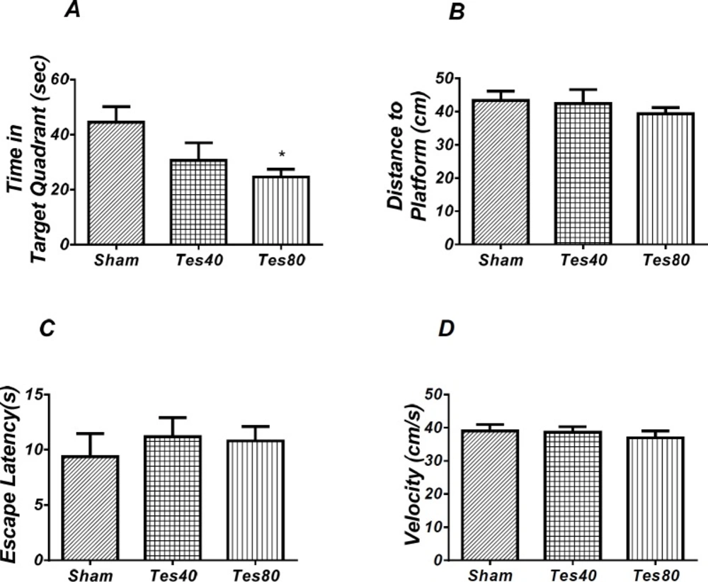 Effect of testosterone on probe test spatial learning and memory and visible test. There was significant decrease in time spent in the target quadrant in animal received testosterone 80 compared to the sham operated group (* <i>P</i> < 0.05) (A). There was no significant difference in distance to platform (B). In visible platform test there were no significant differences in escape latency (C) and velocity (D). One-way analysis of variance (ANOVA) followed by post hoc analysis (Tukey test) were used and <i>P</i> < 0.05 was considered to be statistically significant. (n = 6-8 for each group)