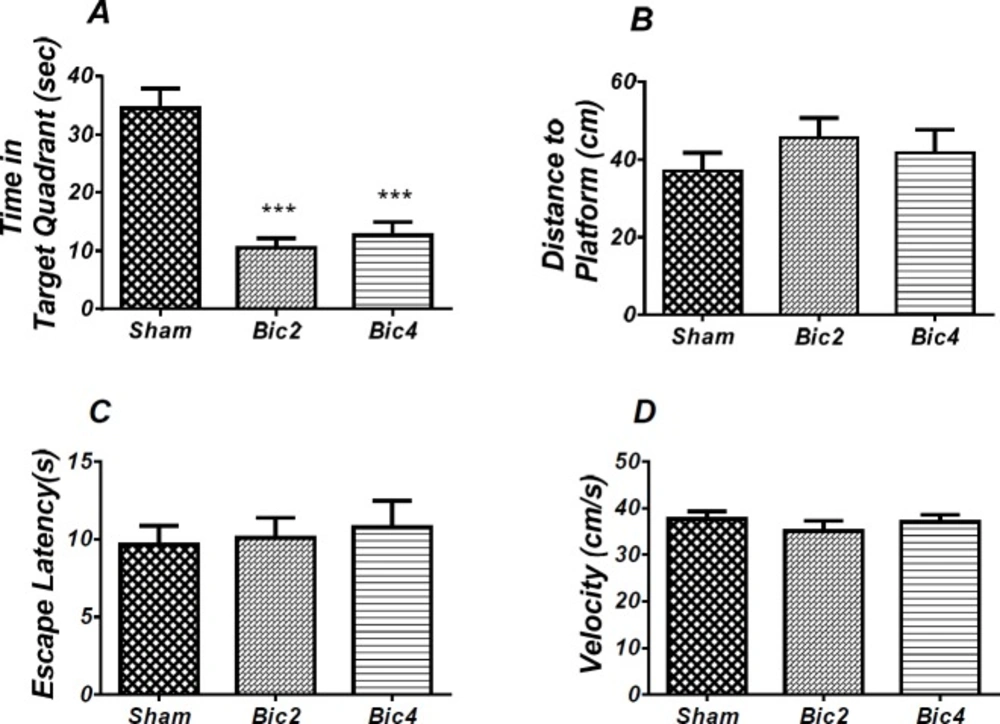 Effect of bicuculline on probe test spatial learning and memory and visible test. There was significant decrease in time spent in the target quadrant in animal received bicuculline compared to the sham operated group (*** <i>P</i><0.001) (A). There was no significant difference in distance to platform (B). In visible platform test there were no significant differences in escape latency (C) and velocity (D). One-way analysis of variance (ANOVA) followed by post hoc analysis (Tukey test) were used and <i>p</i> < 0.05 was considered to be statistically significant. (n = 6-8 for each group)