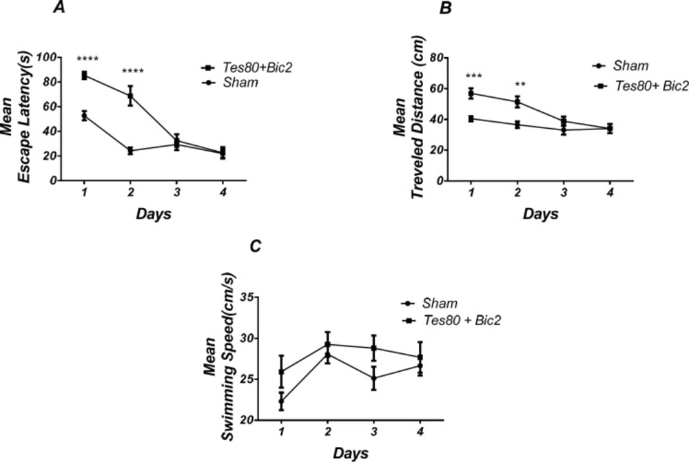 Effect of testosterone + bicuculline on spatial learning and memory<b>.</b> There was a significant increase in escape latency in1st and 2 nd (*** <i>P</i> < 0.001) days in testosterone + bicuculline treated animals compared to the sham operated group (A). Also, there was a significant increase in traveled distance in 1st (*** <i>P</i> < 0.001) and 2 nd (** <i>P</i> < 0.01) days in testosterone + bicuculline treated animals compared to the sham operated group (B). No significant difference was observed in swimming speed among groups (C). (RM) Two-way analysis of variance (ANOVA) followed by post hoc analysis (Bonferroni’s test) were used and <i>P</i> < 0.05 was considered to be statistically significant. (n = 6-8 for each group)