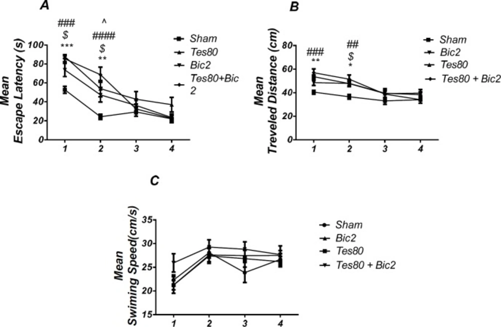 <i>Comparison</i><i> of testosterone 80, bicuculline 2, testosterone 80 + bicuculline 2 and sham operated group</i>. There was a significant increase in escape latency in1st (*** <i>P</i> < 0.001) and 2 nd (** <i>P</i> < 0.01) days in testosterone treated animals, in 1st and 2 nd ($ <i>P</i> < 0.05) days in bicuculline treated animals, in 1st and 2 nd (### <i>P</i> < 0.001) days in testosterone + bicuculline treated animals compared to the sham operated group. There was a significant increase in escape latency in 2 nd (^ <i>P</i> < 0.05) day in the testosterone + bicuculline treated animals compared to the bicuculline treated animals group (A). Also, there was a significant increase in traveled distance in 1 st (** <i>P</i> < 0.01) and 2 nd (* <i>P</i> < 0.05) days in testosterone treated animals, in 2 nd ($ <i>P</i> < 0.05) day in bicuculline treated animals and in 1 st (### <i>P</i> < 0.001) and 2 nd (## <i>P</i> <0.01) days in testosterone + bicuculline treated animals compared to sham operated group (B). There was not a significant difference in swimming speed in days. There was not a significant difference in swimming speed in days (C). (RM) Two-way analysis of variance (ANOVA) followed by post hoc analysis (Tukey test) were used and <i>P</i> < 0.05 was considered to be statistically significant. (n = 6-8 for each group)