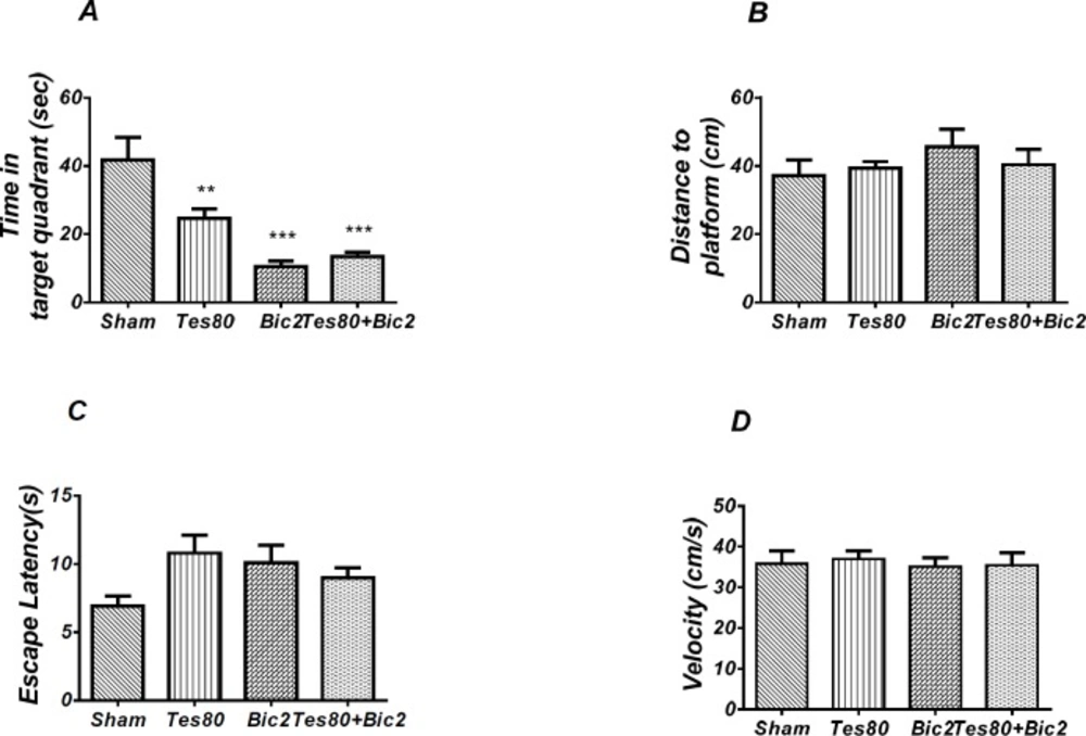 There was decrease significant in time spent in the target quadrant in animal received testosterone, bicuculline and testosterone + bicuculline compared to the sham operated group (** <i>P</i> < 0.01), (*** <i>P</i> < 0.001) (A) and there was no significant difference in distance to platform (B). In visible platform test there were no significant differences in escape latency (C) and velocity (D). One-way analysis of variance (ANOVA) followed by post hoc analysis (Tukey test) were used and <i>P</i> < 0.05 was considered to be statistically significant (n = 6-8 for each group)