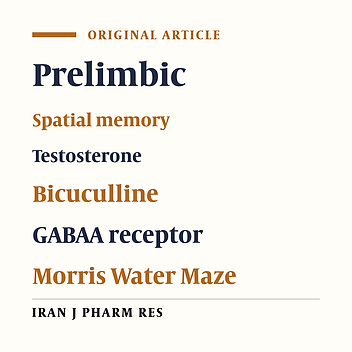 Prelimbic of Medial Prefrontal Cortex GABA Modulation through Testosterone on Spatial Learning and Memory