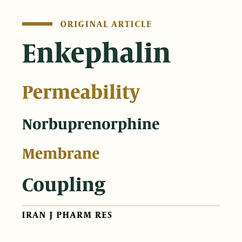 Efficient Synthesis of Norbuprenorphines Coupled with Enkephalins and Investigation of Their Permeability
