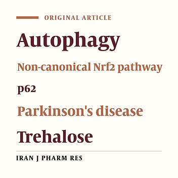 Trehalose Neuroprotective Effects on the Substantia Nigra Dopaminergic Cells by Activating Autophagy and Non-canonical Nrf2 Pathways