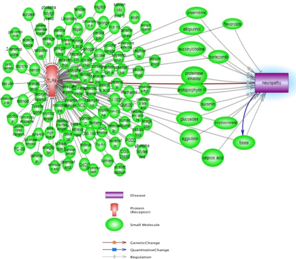 Pathway constructed from the Pathway studio database and show affected small molecules between TLR4 and neuropathy pathways