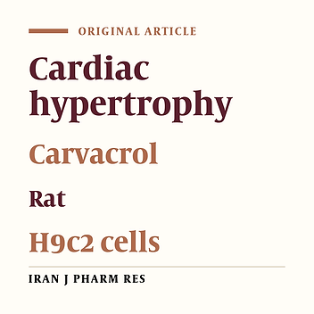 Carvacrol Ameliorates Pathological Cardiac Hypertrophy in Both In-vivo and In-vitro Models