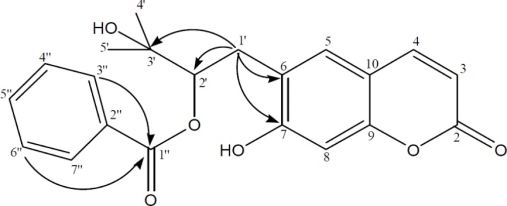 Significant HMBC (→) correlations of compound <b>5</b>