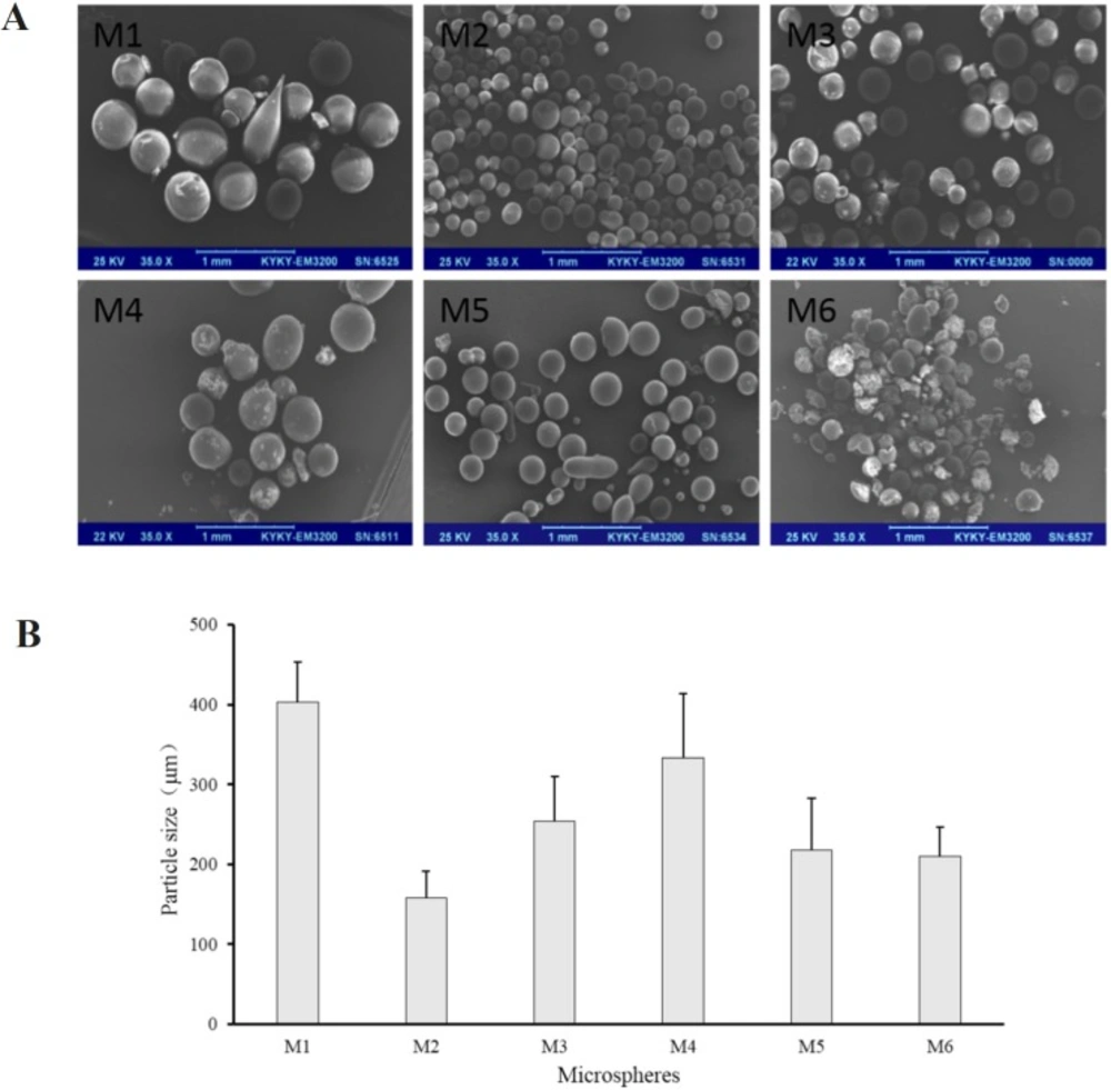 (A) SEM images and (B) number average particle size of M1 to M6