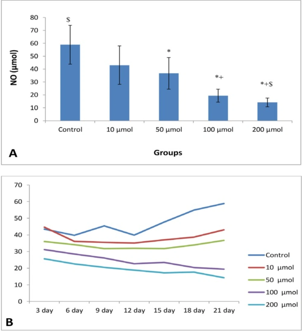 (A) Mean of NO levels (μM) of EEE (n = 8) in control and different doses of noscapine. Significant difference: (*) with control, (+) whit 10 μM, and ($) whit 50 μM. (B) Process of NO levels in control and different doses of noscapine during 21 days 3D culture