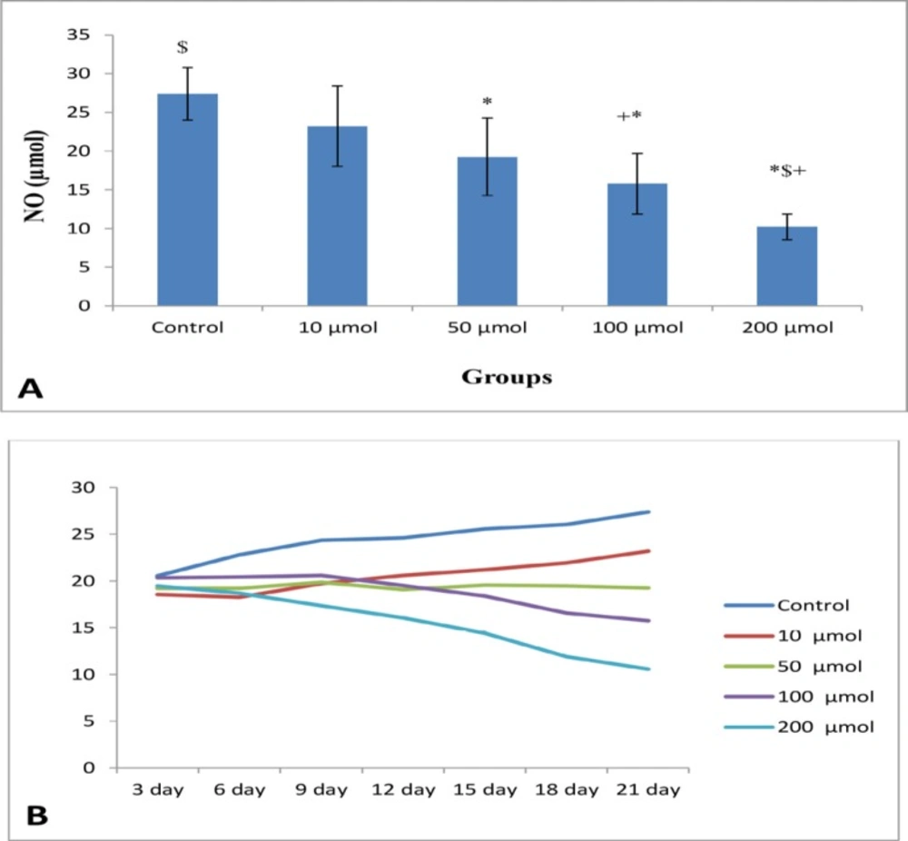 (A) Mean of NO levels (μM) of NE (n = 8) in control and different doses of noscapine. Significant difference: (*) whit control, (+) with 10 μM, and ($) with 50 μM. (B) Process of NO levels (μM) in control and different doses of noscapine during 21 days 3D culture